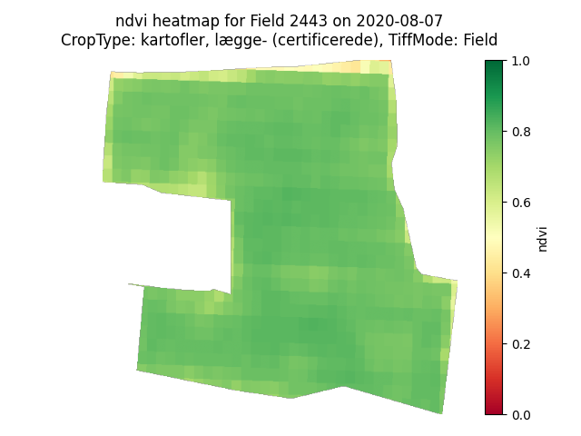 NDVI heatmap of field 2443 on 7 August 2020, almost entirely green at around 0.8.