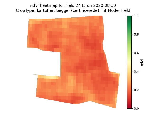 NDVI heatmap of field 2443 on 30 August 2020, orange and red at around 0.2.